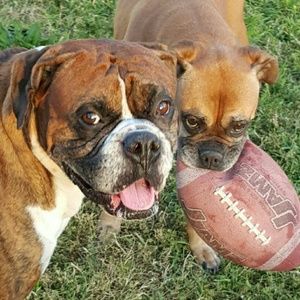 Meet your Posher, Alicia